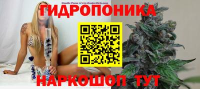 мет Будённовск