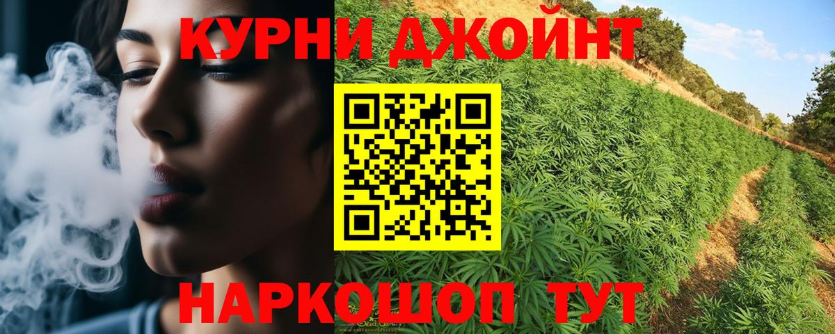 Советский  Бошки Шишки семена  Конопля гибрид  Вход с VPN  Марихуана OG Kush  Канабис THC 21% 